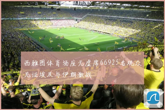 西雅图体育场座无虚席66925名观众见证埃及与伊朗激战