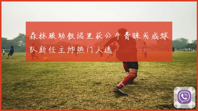 森林狼助教诺里获公牛青睐或成球队新任主帅热门人选
