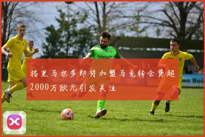 格里马尔多即将加盟马竞转会费超2000万欧元引发关注